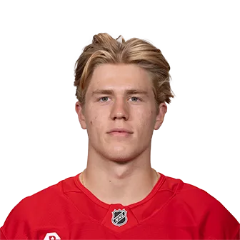 Brandsegg-Nygard, Michael headshot