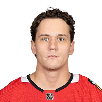 Zaitsev, Nikita headshot