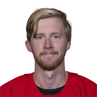 Brattstrom, Victor headshot
