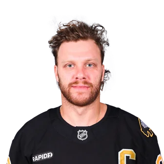 Pastrnak, David headshot