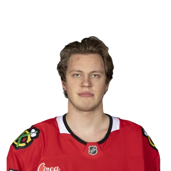 Berezhnoy, Stanislav headshot