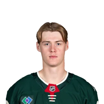 Gustafsson Nyberg, Viking headshot