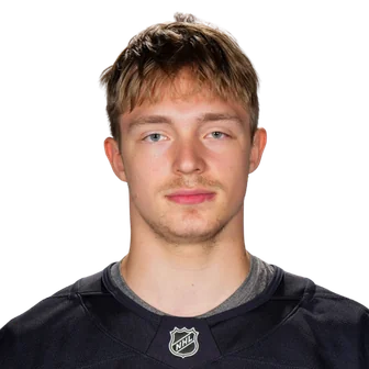 Fedorov, Viktor headshot